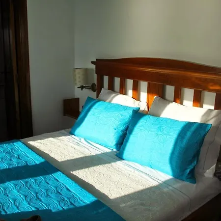 Pequena Baleia Ferrel (Leiria)