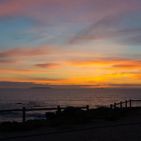 Pequena Baleia Ferrel (Leiria)