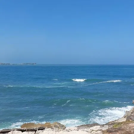 Pequena Baleia Couette-café