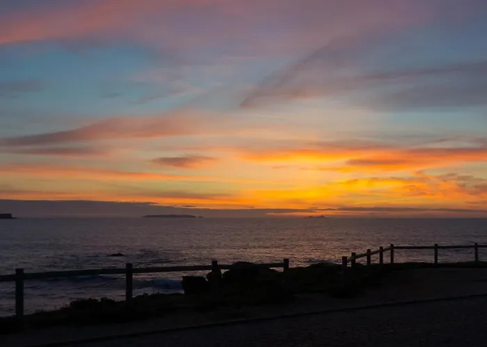 Pequena Baleia Ferrel (Leiria)