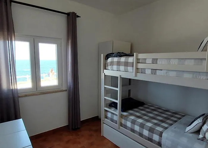 Pequena Baleia Ferrel (Leiria)