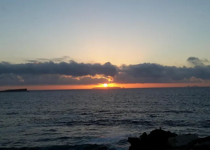 Bed & Breakfast Pequena Baleia Ferrel (Leiria)